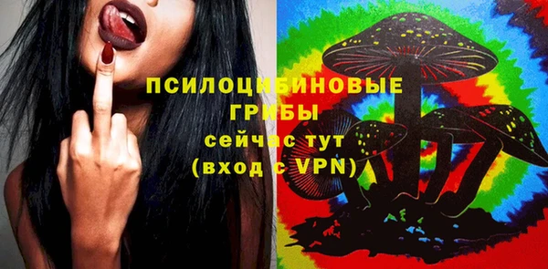 амфетамин Белокуриха