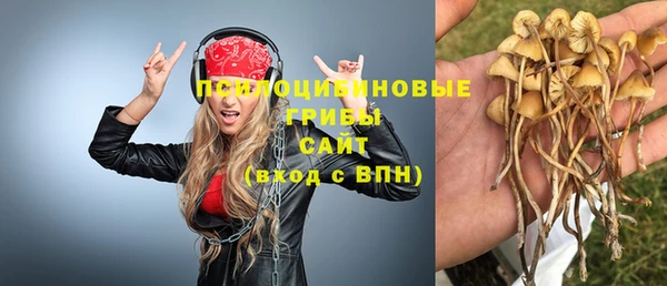 стаф Богородск