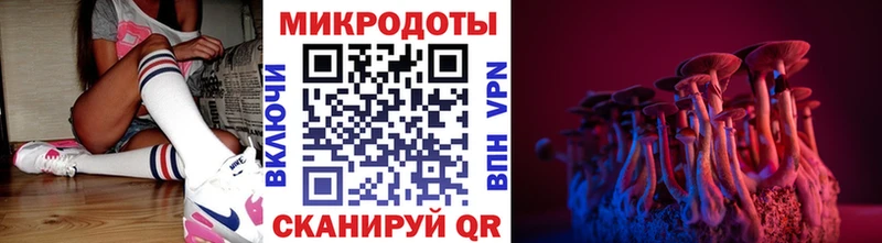 продажа наркотиков  Валдай  Псилоцибиновые грибы MAGIC MUSHROOMS 